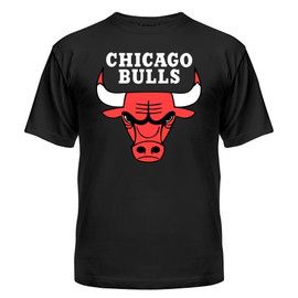 Футболка Chicago bulls logo